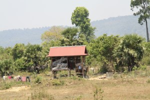 nice roof - the walls might need a bit more work though